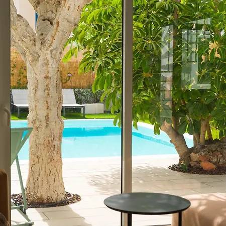 Apartment Magnifico Timon 8
