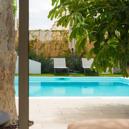 Magnifico Timon 8 * Pasito Blanco