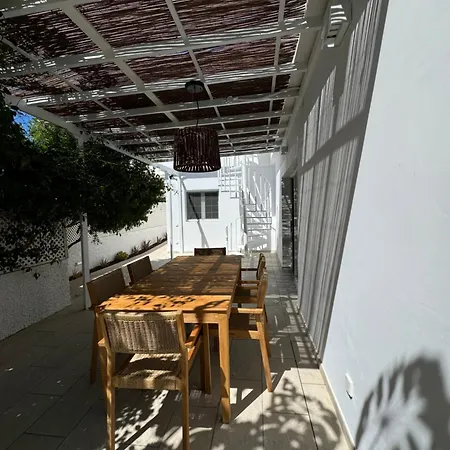 Magnifico Timon 8 * Pasito Blanco