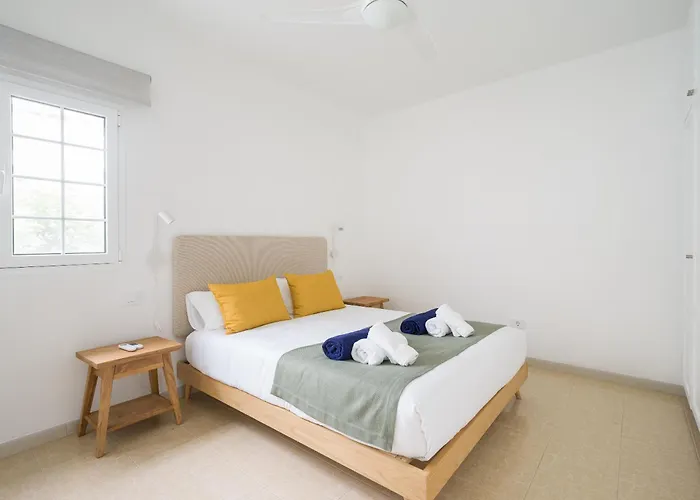 Magnifico Timon 8 Pasito Blanco