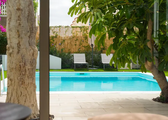 Magnifico Timon 8 * Pasito Blanco