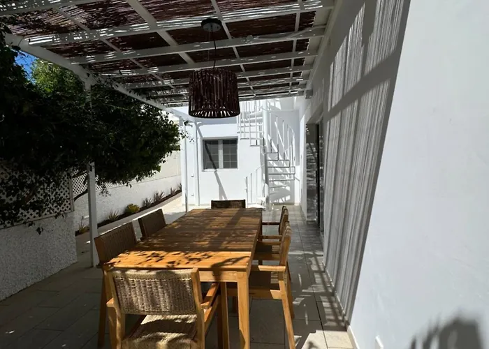 Magnifico Timon 8 * Pasito Blanco