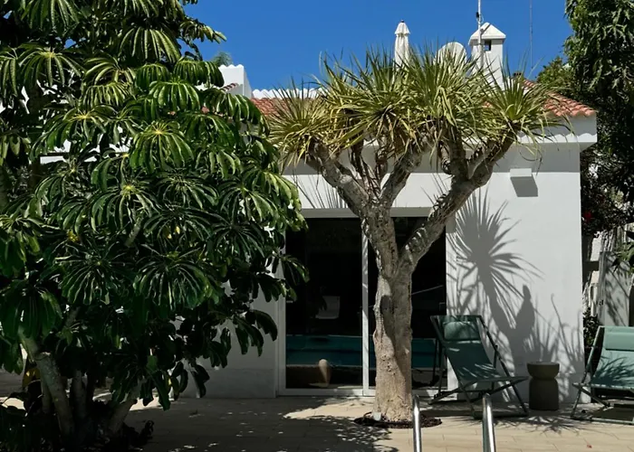 Magnifico Timon 8 Appartement Pasito Blanco