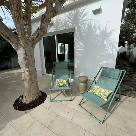 Magnifico Timon 8 パシート・ブランコ